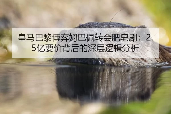 huang-ma-ba-li-bo-yi-mu-ba-pei-zhuan-hui-fei-zao-ju-yi-yao-jia-bei-hou-de-shen-ceng-luo-ji-fen-xi-2-648.jpg
