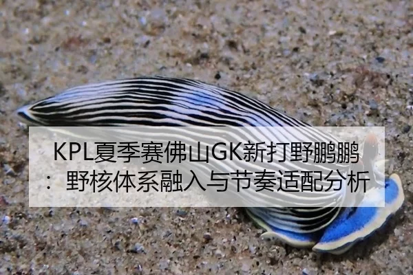 xia-ji-sai-fo-shan-xin-da-ye-peng-peng-ye-he-ti-xi-rong-ru-yu-jie-zou-shi-pei-fen-xi-3-132.jpg